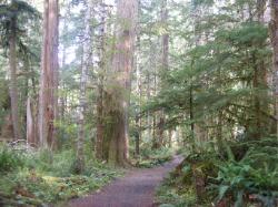 Staircase Rapids Trail