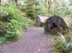 Staircase Rapids Trail