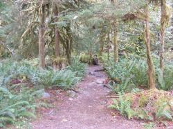 Staircase Rapids Trail