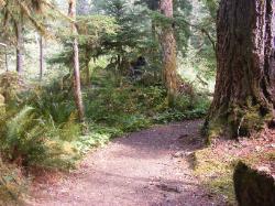 Staircase Rapids Trail