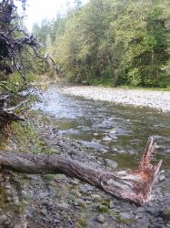 Staircase Rapids Trail