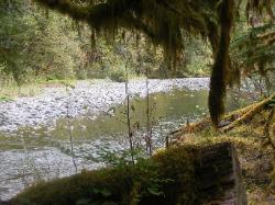 Staircase Rapids Trail