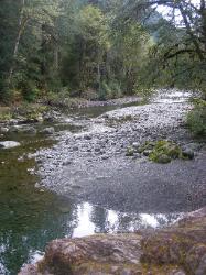 Staircase Rapids Trail Olympic National Park