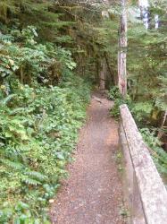 Staircase Rapids Trail Olympic National Park