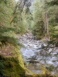 Staircase Rapids Trail Olympic National Park