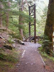 Staircase Rapids Trail Olympic National Park