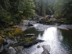 North Fork Skokomish Trail Olympic National Park