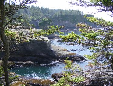 Coastline at Cape Flattery near Olympic National Park