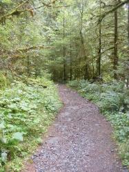 North Fork Skokomish Trail Olympic National Park