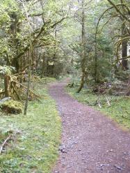 North Fork Skokomish Trail Olympic National Park