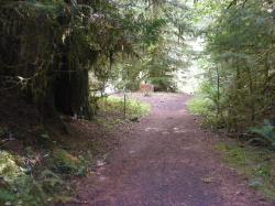 North Fork Skokomish Trail Olympic National Park