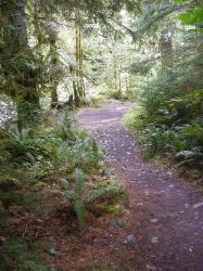 North Fork Skokomish Trail Olympic National Park