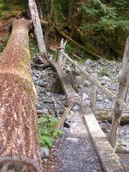 North Fork Skokomish Trail Olympic National Park