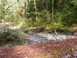 North Fork Skokomish Trail Olympic National Park