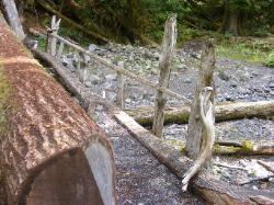 North Fork Skokomish Trail Olympic National Park