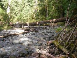 North Fork Skokomish Trail Olympic National Park