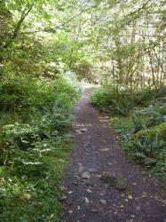 North Fork Skokomish Trail Olympic National Park