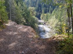 North Fork Skokomish Trail Olympic National Park