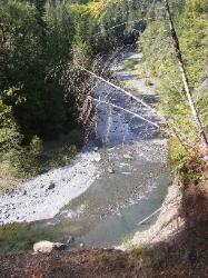 North Fork Skokomish Trail Olympic National Park