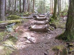 North Fork Skokomish Trail Olympic National Park