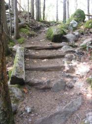 North Fork Skokomish Trail Olympic National Park