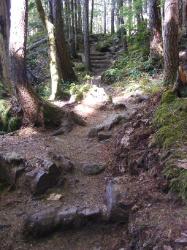 North Fork Skokomish Trail Olympic National Park