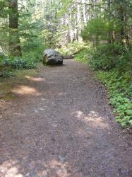North Fork Skokomish Trail Olympic National Park