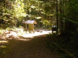 North Fork Skokomish Trail Olympic National Park