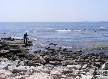 ACADIA NATIONAL PARK NATURAL SEAWALL