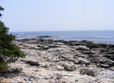 ACADIA NATIONAL PARK NATURAL SEAWALL