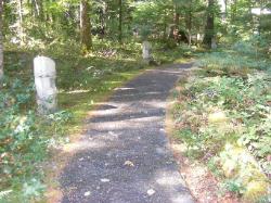 Amphitheater - Newhalem Campground North Cascades 