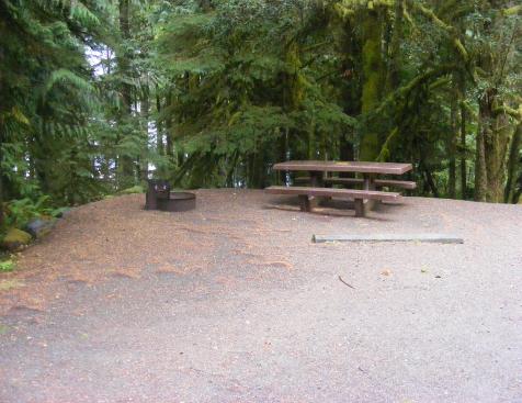 Site 67 C Loop Fairholme Campground Olympic