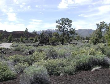 Driving Craters of the Moon Park Road