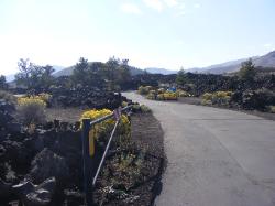 Craters of the Moon Campground