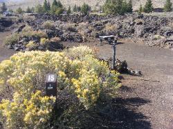 Craters of the Moon campsite 15