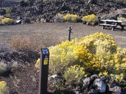 Craters of the Moon campsite 25