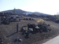 Craters of the Moon campsite 30
