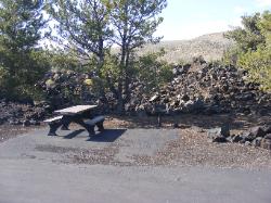 Craters of the Moon campsite 42