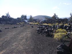 Craters of the Moon campsite 49