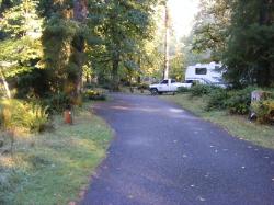 Driving Loop A Hoh Rain Forest Campground Olympic