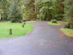 Driving Loop B Hoh Campground Olympic National Park