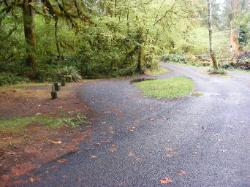Driving Loop B Hoh Campground Olympic National Park