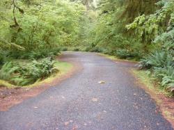 Driving Loop B Hoh Campground Olympic National Park