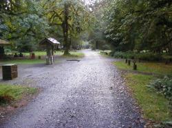 Driving Loop B Hoh Campground Olympic National Park