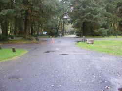Driving Loop B Hoh Campground Olympic National Park
