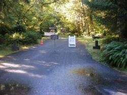 Driving Loop C Hoh Campground Olympic National Park
