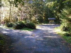 Driving Loop C Hoh Campground Olympic National Park