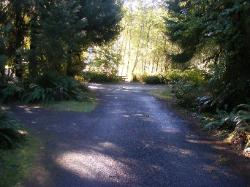 Driving Loop C Hoh Campground Olympic National Park