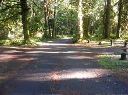 Driving Loop C Hoh Campground Olympic National Park