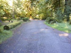 Driving Loop C Hoh Campground Olympic National Park